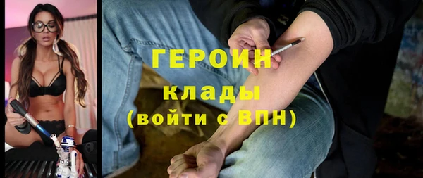 индика Бронницы