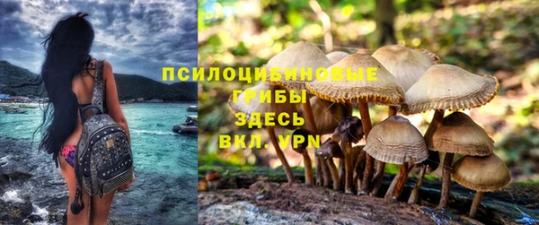 гидра Сосновоборск