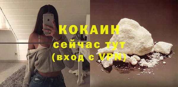 амф Сосновка