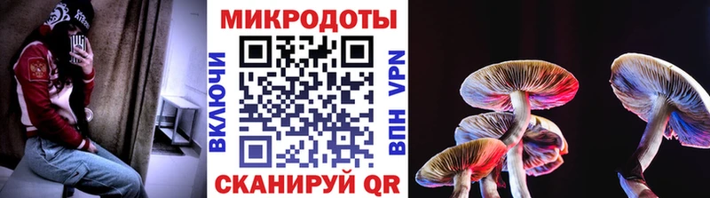 mega сайт  Вязьма  darknet клад  Галлюциногенные грибы Cubensis 